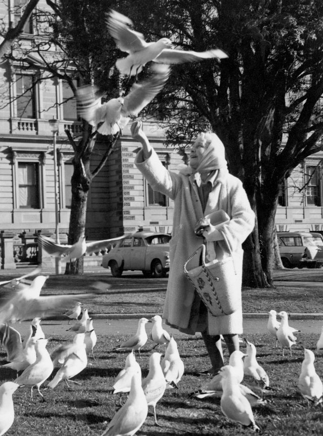 Louise Lovely feeding gulls in a park, 1969