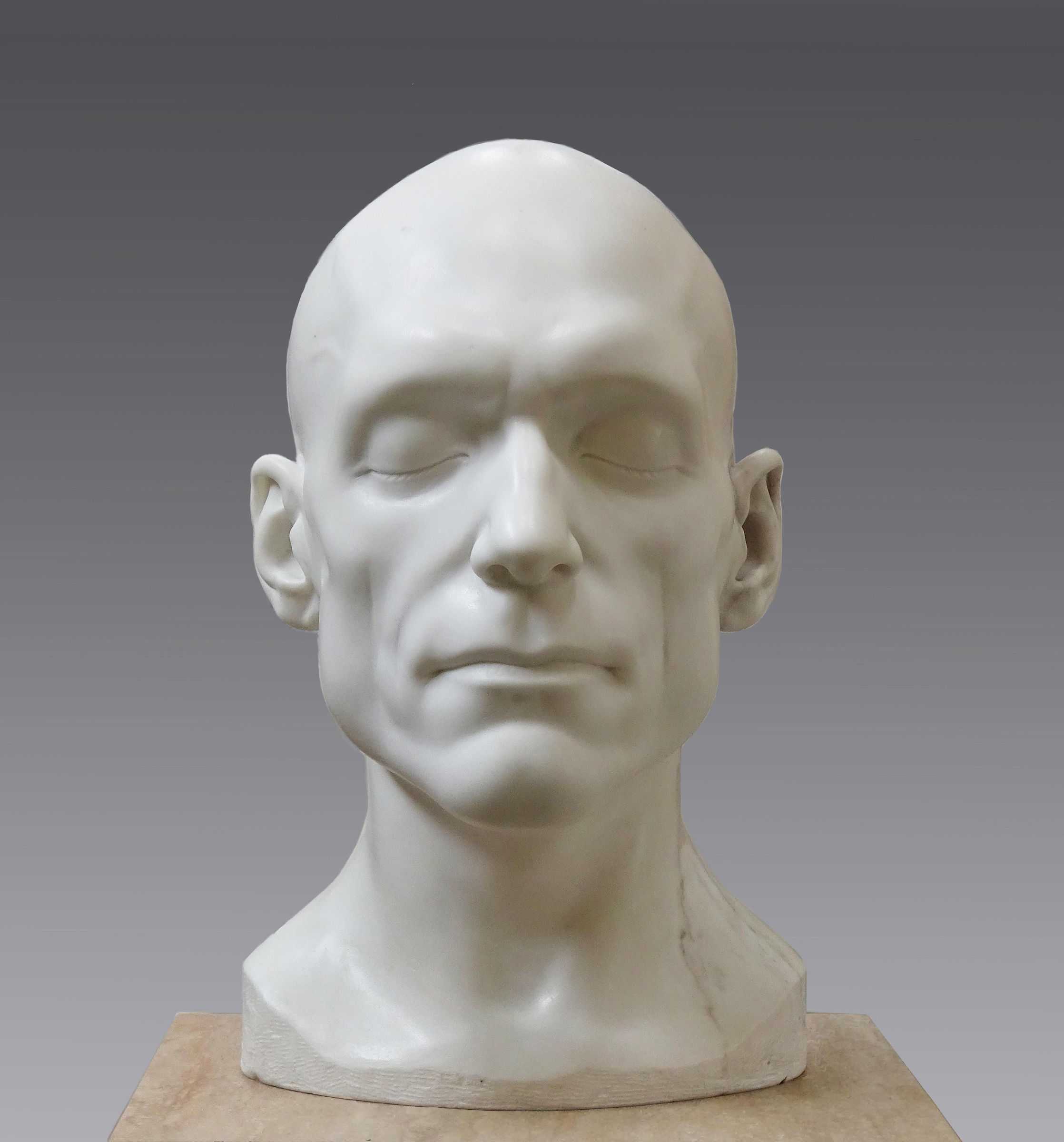 Bust Bust — bust1 bust n. Kopler Mambu