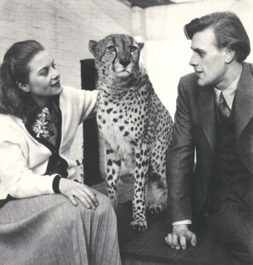 Pat and Richard Larter with Prince the cheetah at London Zoo
