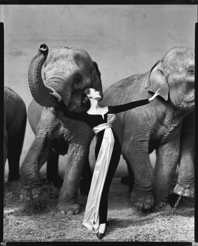 Dovima with elephants, evening dress by Dior, Cirque d'Hiver, Paris, August 1955