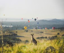 Visit Canberra Visit Canberra