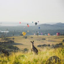 Visit Canberra Visit Canberra