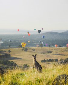 Visit Canberra Visit Canberra