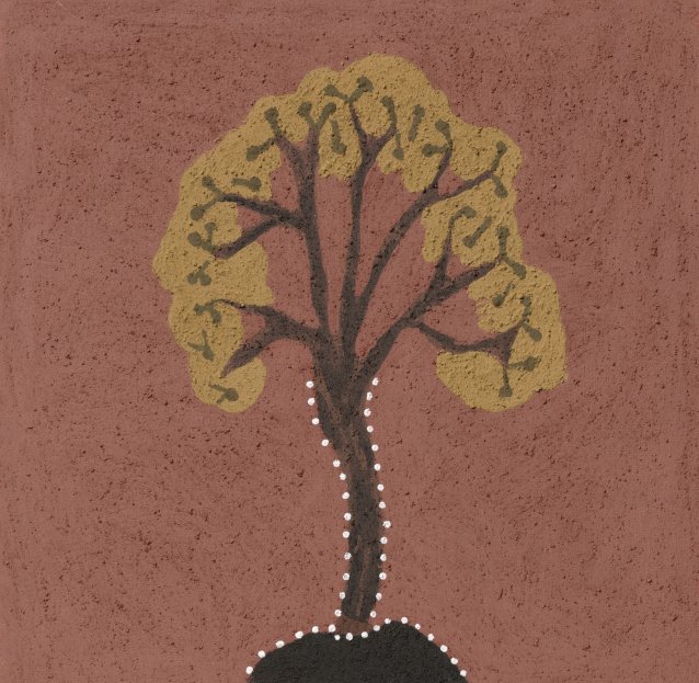 Jugurrul (Bush orange tree), 2018