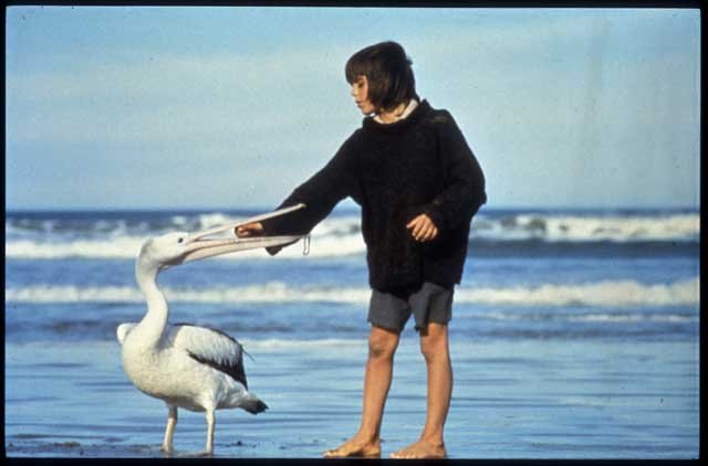 movie storm boy movie storm boy