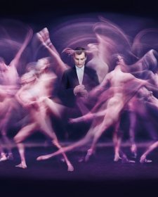 The Dance - David McAllister, 2016 Peter Brew-Bevan