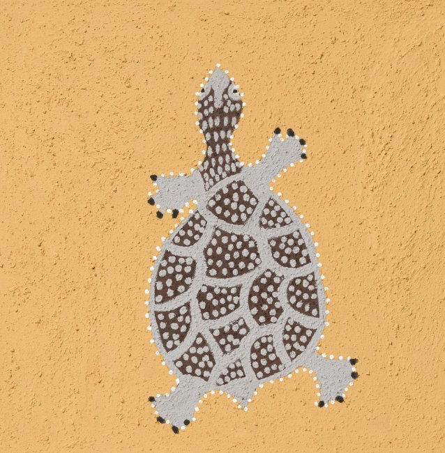 Nangala (the Turtle), 2018