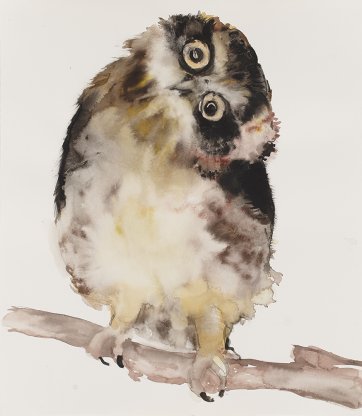 Night Owl, 2013 by Fiona McMonagle
Private Collection, NSW