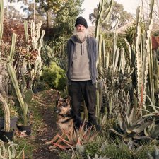 Cactus flower, 2019 Heather Dinas