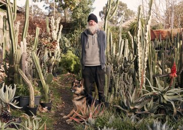 Cactus flower, 2019 Heather Dinas