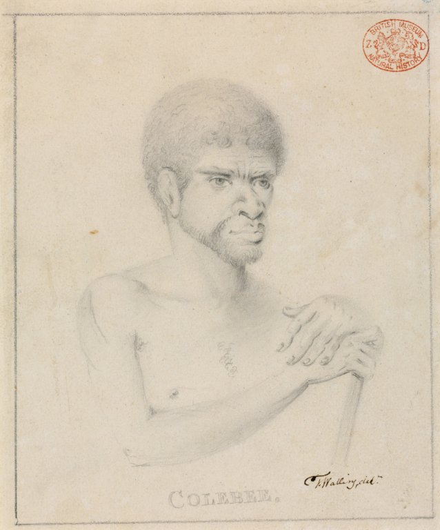 Colebee, c. 1792-97