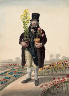 Copeman, gardener, Great Yarmouth by John Dempsey