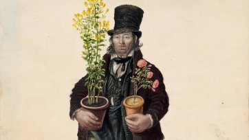 Copeman, gardener, Great Yarmouth by John Dempsey