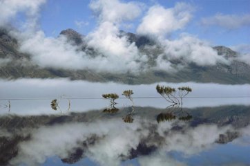 Reflections, mists and Melaleuca trees in a serene Lake Pedder, Tasmania
