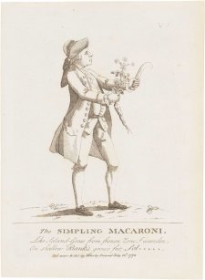 The Simpling Macaroni (Dr Daniel Solander)