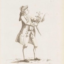The Simpling Macaroni (Dr Daniel Solander)