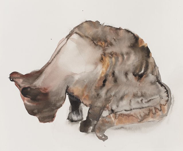 Curious Cat, 2013 by Fiona McMonagle
Private collection, Sydney