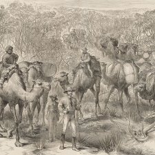 The Australian exploring expedition travelling through scrub (from the Illustrated London News 1879)