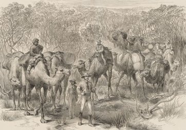 The Australian exploring expedition travelling through scrub (from the Illustrated London News 1879)