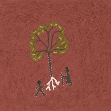 Goonjal (Bush yam tree), 2018 Shirley Purdie