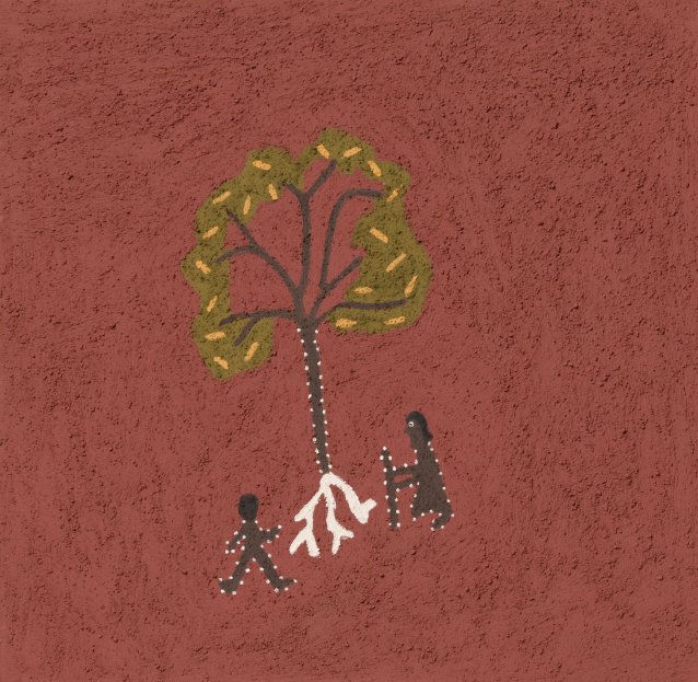 Goonjal (Bush yam tree), 2018