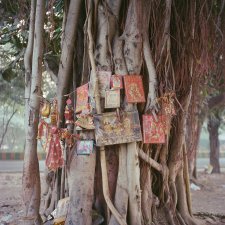 Part 16 of Untitled, 2023 Anu Kumar