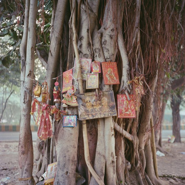 Part 16 of Untitled, 2023 Anu Kumar