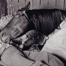 Tommy Woodcock and Reckless, 1977 (detail) Bruce Postle