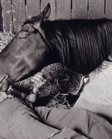 Tommy Woodcock and Reckless, 1977 (detail) Bruce Postle