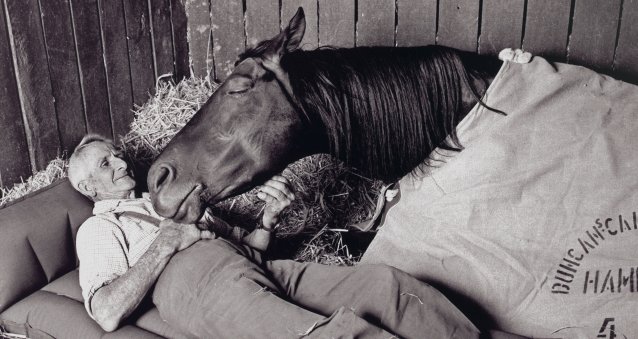 Tommy Woodcock and Reckless, 1977 (detail) Bruce Postle