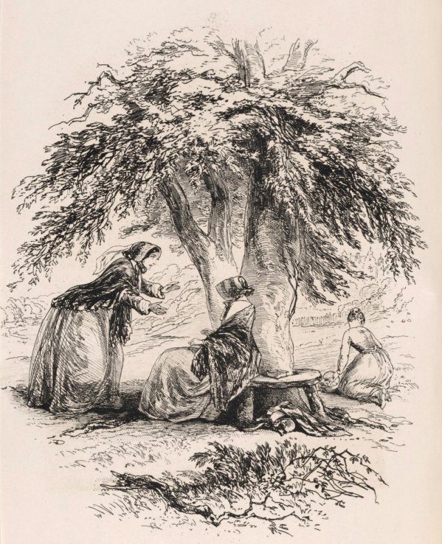 Lady Dedlock in the wood by Hablot Knight Browne