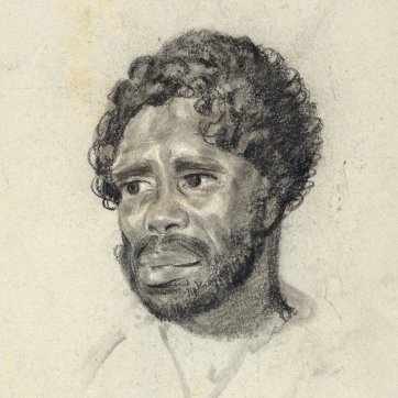 Portrait of Culaba, an indigenous Australian man and husband of Punch, looking down slightly to left