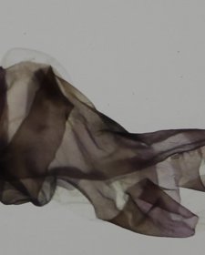 Body Emulsion Detachment, 2016 by Lucas Davidson, video: 14 minutes