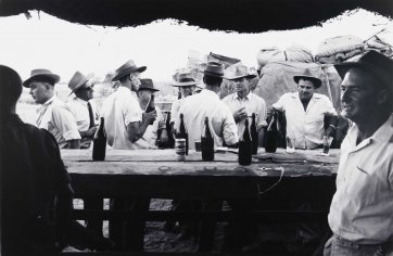 Bar, Betoota races, Queensland