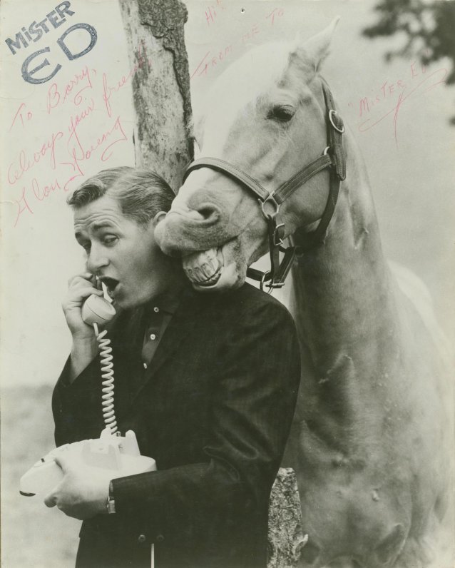 Alan Young and Mister Ed