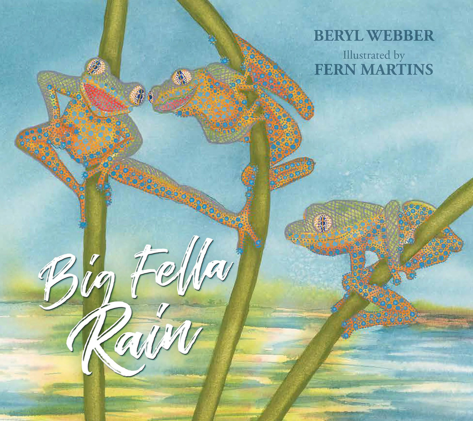 Big Fella Rain by Beryl Webber and Fern Martins. Copyright © 2017 text Beryl Webber and illustrations Fern Martins. Published by Magabla Books.