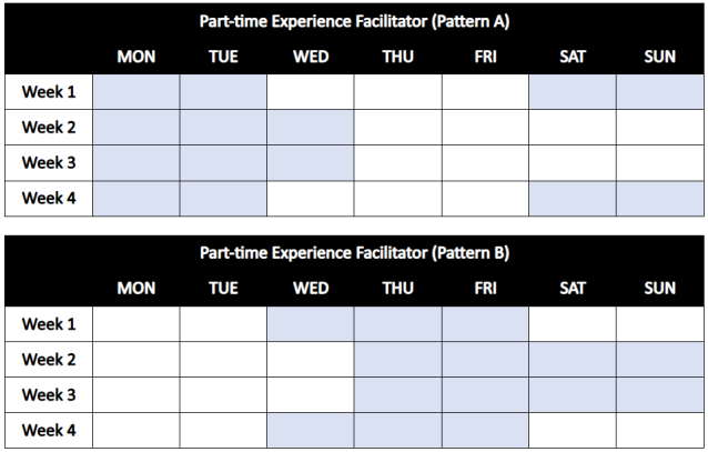 Work patterns, APS3 Experience Facilitator – Part Time