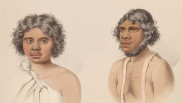 South Australian Illustrated (Plate 35)