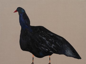 Blue Chested Pigeon of Newport, 2012 by Darren McDonald