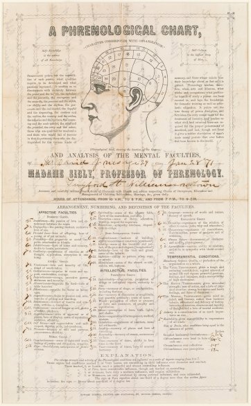 Phrenological chart and analysis of David Jones