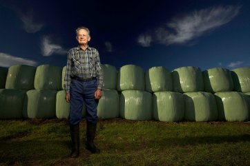 Make Hay, 2006 by David Anderson