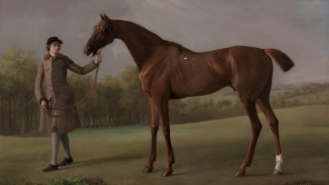 Lustre, held by a Groom, ca. 1762 by George Stubbs