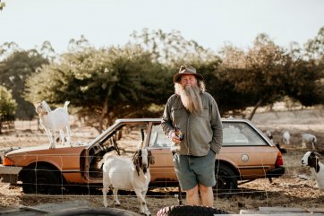 Wombat and goats