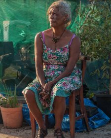 An Afternoon (Aunty Jenny Munro at the Redfern Aboriginal Tent Embassy)