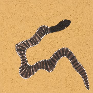 Nambin (black headed python), 2018 by Shirley Purdie