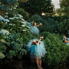 Introversion from High Jinks in the Hydrangeas, 2020 Tamara Dean