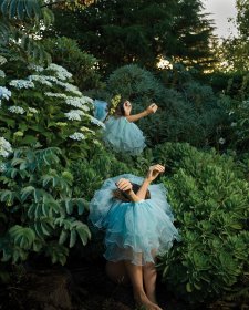 Introversion from High Jinks in the Hydrangeas, 2020 Tamara Dean