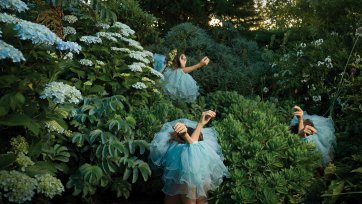 Introversion from High Jinks in the Hydrangeas, 2020 Tamara Dean