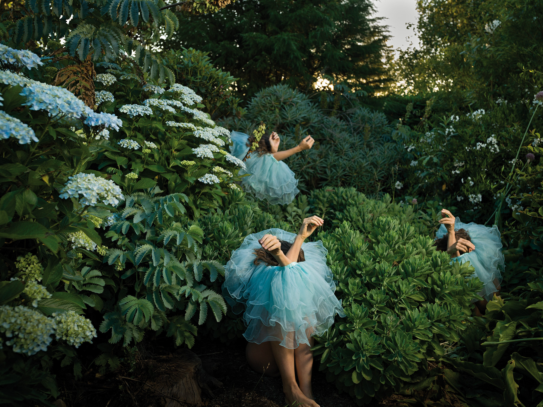 Introversion from High Jinks in the Hydrangeas, 2020 Tamara Dean