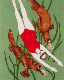 Swimming with Platypus, 2009